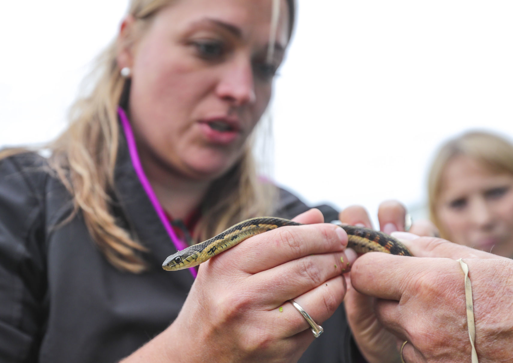 062218-qct-bioblitz-006